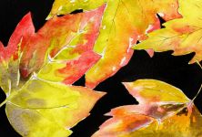 Salem Leaves #5